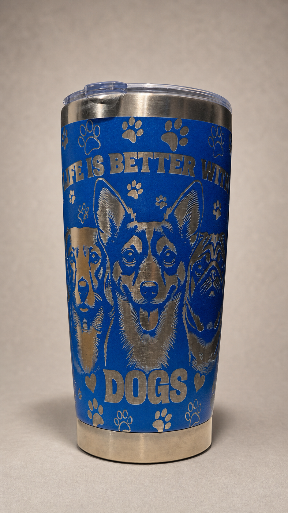 Pet portraits